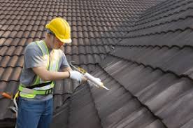 Best Roof Coating and Sealing  in Mahtomedi, MN